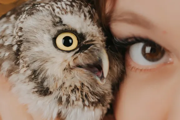 Lottomart Casino Kundeservice